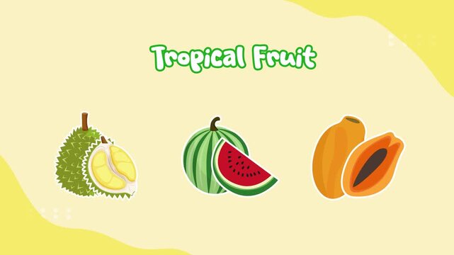 Fresh fruit mix with bright colors. Tropical Fruit concept. Full length Icon animation illustration. High quality&nbsp;4k&nbsp;footage