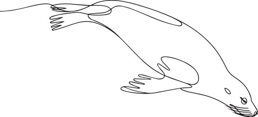 A line drawing of a seal swimming in the water with flippers © Sara