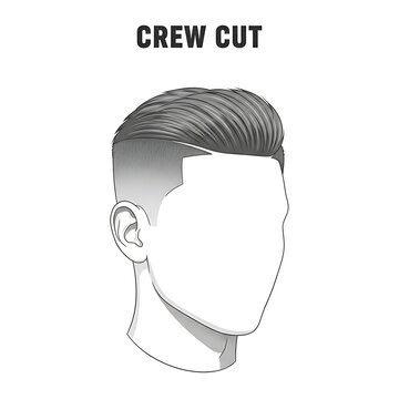 Illustration of a man's head with a classic crew cut hairstyle, featuring short faded sides and longer hair on top, styled neatly.