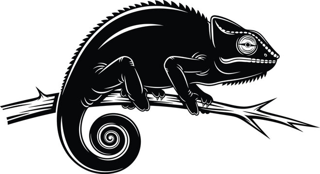 Black and white illustration of a chameleon on a branch