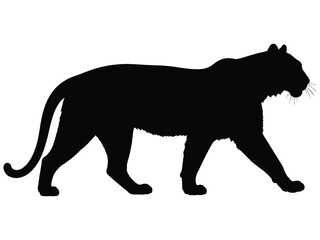 Obraz premium Tiger Silhouette Wild Animal Vector Illustration