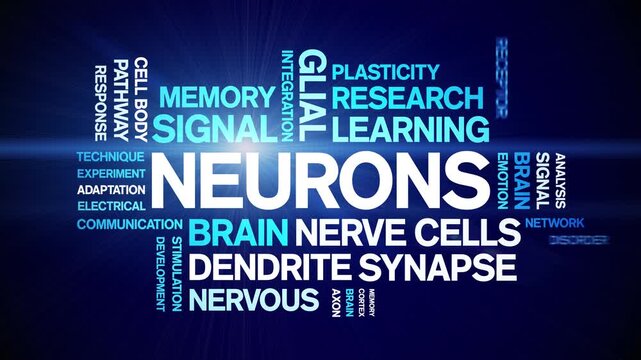 Neurons animated word cloud-text design animation tag kinetic typography seamless loop.