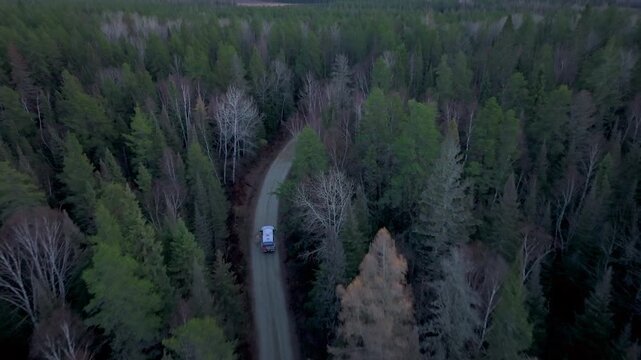 vue pickup depuis ciel dans la foret 