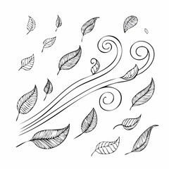 Fototapeta premium Leaves are blown away by a strong gust of wind outdoors.