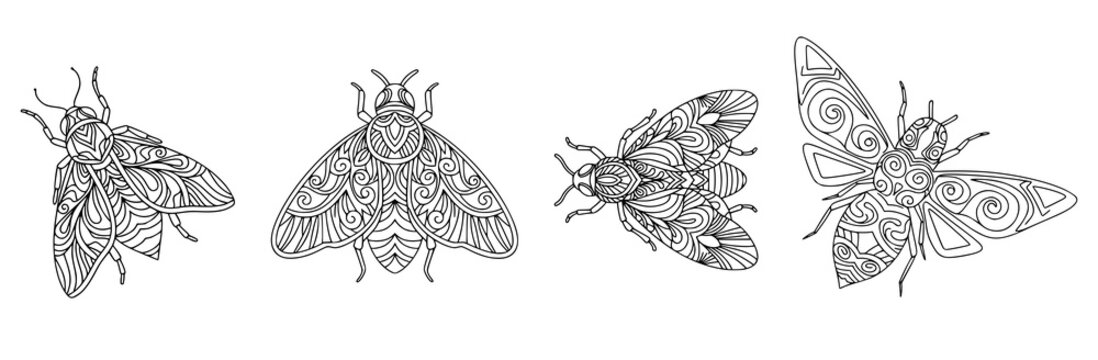 Set of stylized decorative insects fly, bee, moth in zentangle style line art for adult coloring book