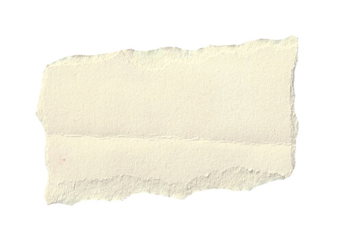 torn blank pages with uneven texture edges. set of ripped white paper sheets png isolated