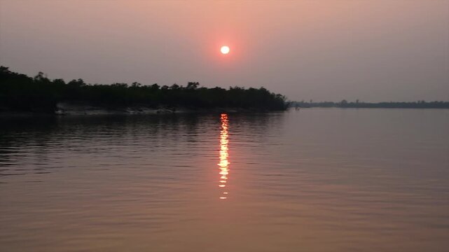 A Landscape view of Sundarbans mangrove forest during sunset, Sundarban is the largest mangrove forest in the world. Erected breathing roots of mangroves trees. A canal in Sundarbans.
