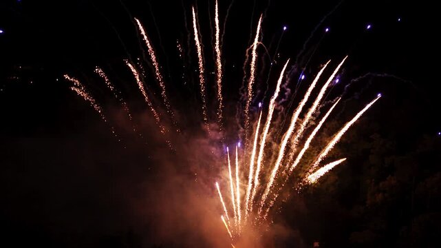 Golden fireworks trails ascending into the dark night sky. Professional pyrotechnic display with sparkling light effects for festive events.