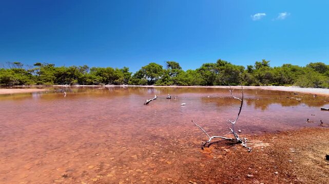 Witness the surreal beauty of a vibrant pink salt lagoon in Los Roques, an exotic ecosystem defined by rare minerals and stunning natural textures.