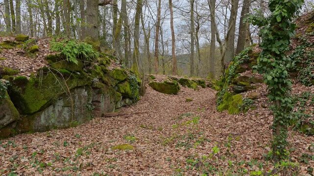 Weg am Ohrsberg, Eberbach, Ohrsberg, Nekar, Odenwald, Baden- W&uuml;rttemberg, Deutschland