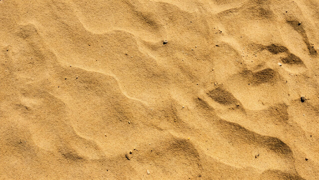 Golden Sandy Beach or Desert Surface Texture With Ripple Pattern and Small Pebbles &mdash; Top View Natural Background