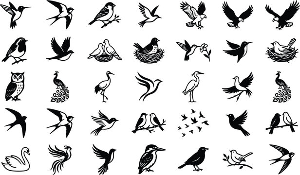 Diverse Bird Icon Set Featuring Minimalist Black Silhouettes of Hummingbirds, Owls, Swans, Eagles, Peacocks, and Sparrows for Wildlife Graphic Design