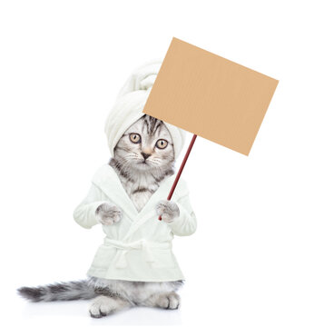 Cute kitten wearing bathrobe and towel on it head standing on hind legs and holding blank placard. Empty space for text. Isolated on white background