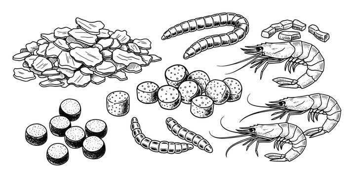 Group of fishing bait and pet food items such as flakes worms pellets and shrimp for hobbies