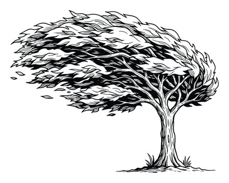 Dynamic ink drawing of a tree with leaves blowing strongly in the wind for weather graphics
