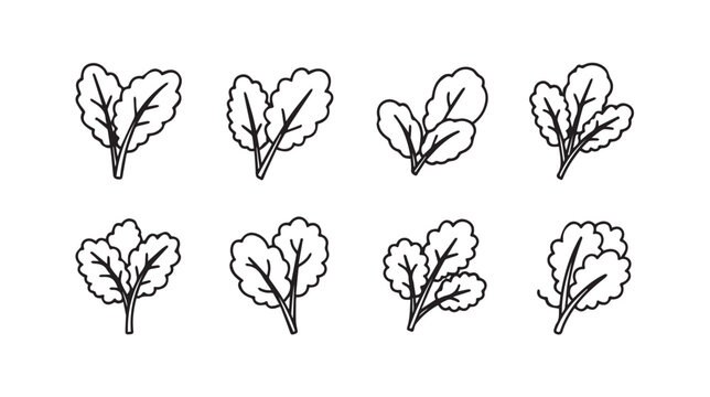 Set of stylized kale leaves icons, simple line art, isolated on white