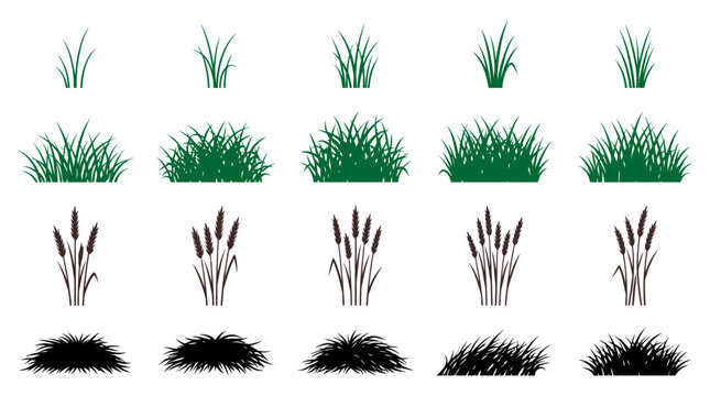 Vector illustration set featuring various green grass, brown cattail reeds, and dark bush silhouettes for natural landscape design elements