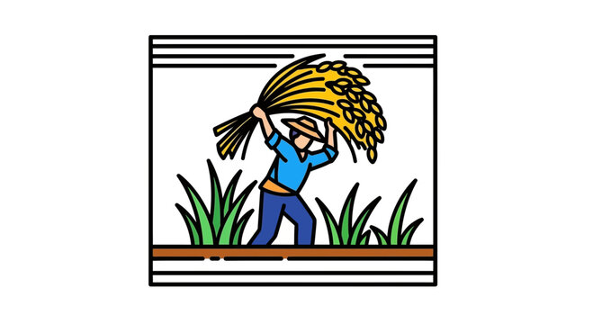 Farmer Harvesting Rice Field, Rural Agriculture, Traditional Farming, Golden Crop