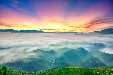 Obraz premium A stunning sunrise over the rolling Doi hills in Bao Loc, Vietnam, where a vast sea of clouds blankets the valleys beneath colorful morning skies. 