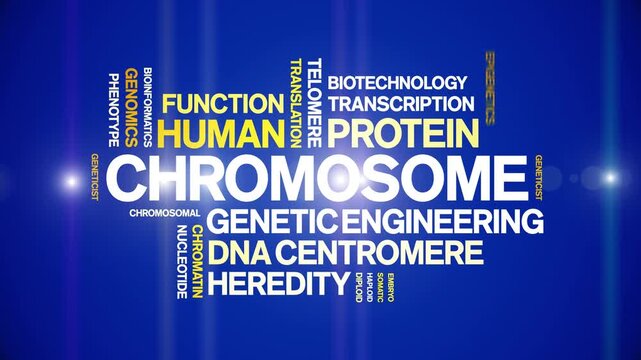 Chromosome animated word cloud-text design animation tag kinetic typography seamless loop.