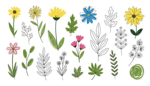 Handdrawn flowers and leaves collection for spring nature and botanical decorative graphics