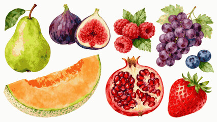 Fototapeta premium Organic Fruit Illustration Mixed Fruit Set isolated watercolor vector illustration svg