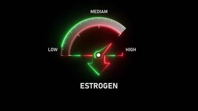 Animated estrogen level gauge moving from low to healthy normal level, digital presentation, medical indicator, Motion graphics of estrogen meter level concept