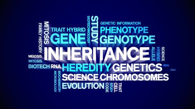 inheritance animated word cloud-text design animation tag kinetic typography seamless loop.