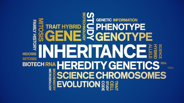 inheritance animated word cloud-text design animation tag kinetic typography seamless loop.