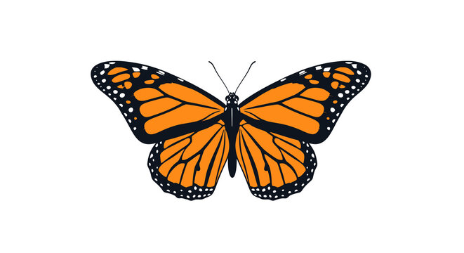 Stylized monarch butterfly insect vector illustration featuring vibrant orange and black patterns, isolated on a clean white background in a modern flat graphic design style.