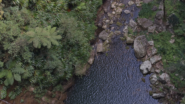 Aerial View of Coomera River Flowing Through Lush Binna Burra Rainforest