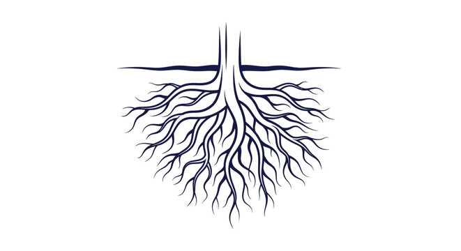 Tree roots illustration, organic growth, stability, deep foundation