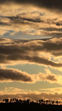 Timelapse Colorful sky with clouds running over horizon with trees - vertical video