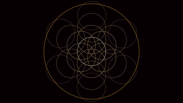 This motion graphic features a golden geometric pattern of overlapping circles against a dark background, creating an elegant and symmetrical design.