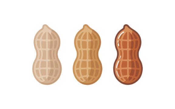 Three stylized peanuts arranged side by side with varying shades of color.