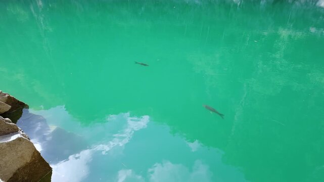 Unseen turquoise lake in a former quarry with fish and sky reflection
