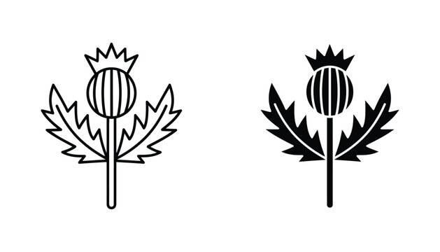 Scotch thistle flower with leaves outline and solid silhouette icon set for botanical and Scottish heritage graphics