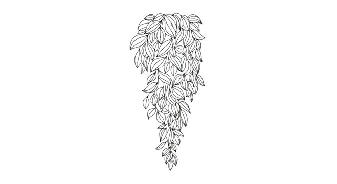 Hand drawn botanical hanging plant vector, black and white line art foliage illustration, trailing ivy leaves sketch for coloring or design