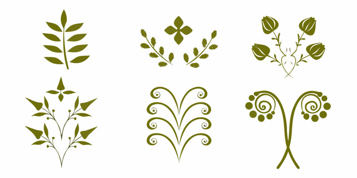 Botanical illustrations of leaves and floral elements vector style white background