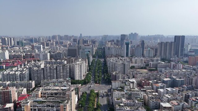 Aerial view of dense modern city skyline and tree lined boulevard
