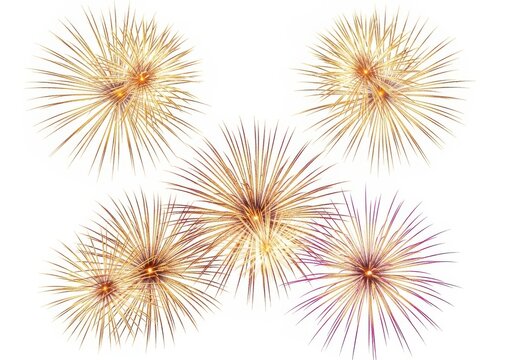Radiating patterns of stylized sea urchins in abstract art composition isolated on white background