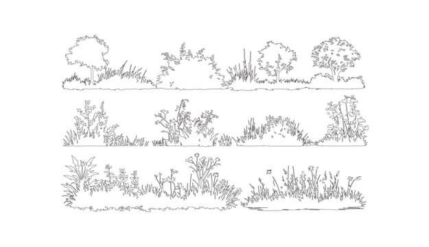 Hand drawn architectural vegetation set, minimalist outline trees and bushes vector, black and white landscape plant sketches for site plans