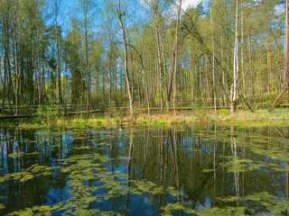 Wiosna na Warmii. © Janusz Lipiński