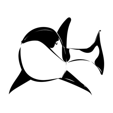 Orka