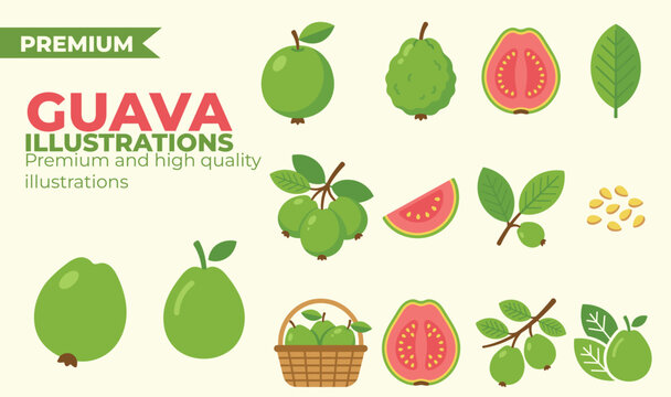 Fresh guava fruit illustration pack with sliced and whole tropical elements