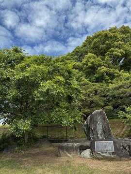 old stone grave,Uki Bune