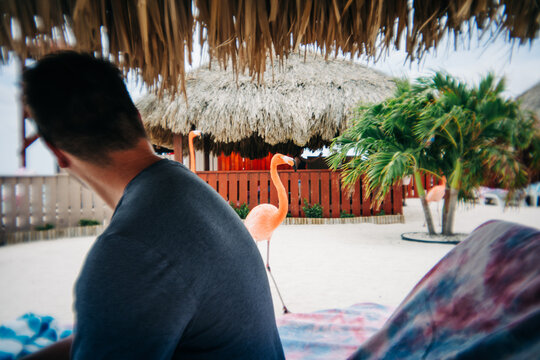 Man relaxing on beach with flamingos and palm trees