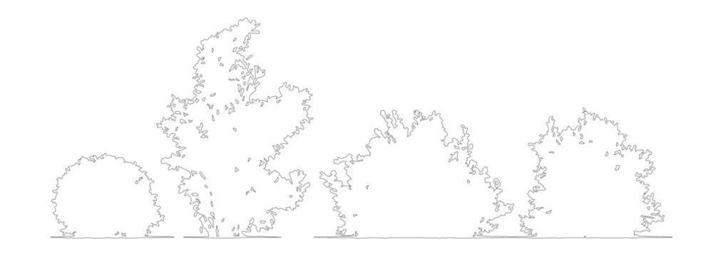 Minimalist architectural tree outlines, set of 4 vector bush and shrub silhouettes, thin black line landscape vegetation for site plans and sections