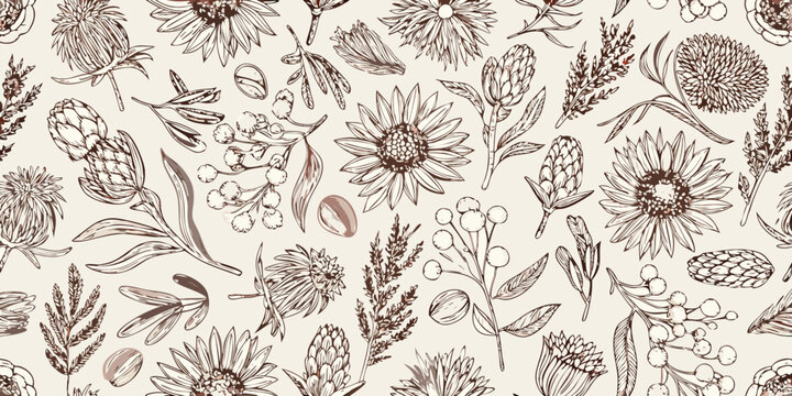 Australian native floral pattern botanical illustration seamless design