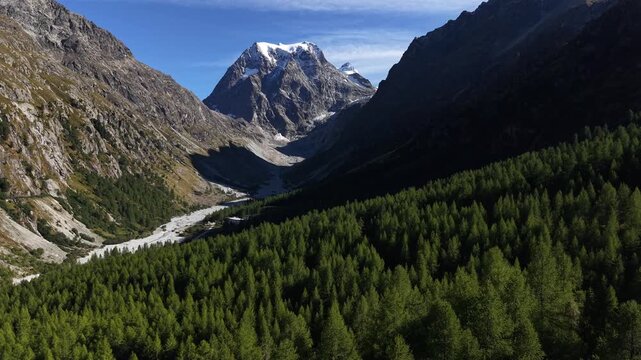 Aerial flyover over the forest near the alpine village of Arolla, Switzerland with a view of the Mont Collon in the background on a sunny summer day in the Swiss Alps